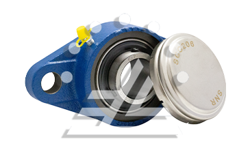 SM-UCFC 206 